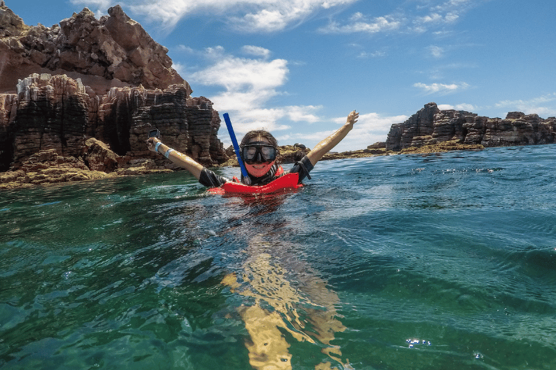 All About La Paz Mexico Cabo Adventures
